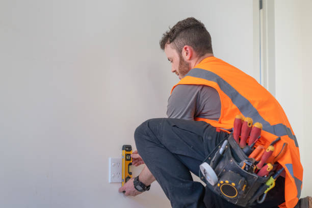Best Local Electrician Companies  in Natalia, TX