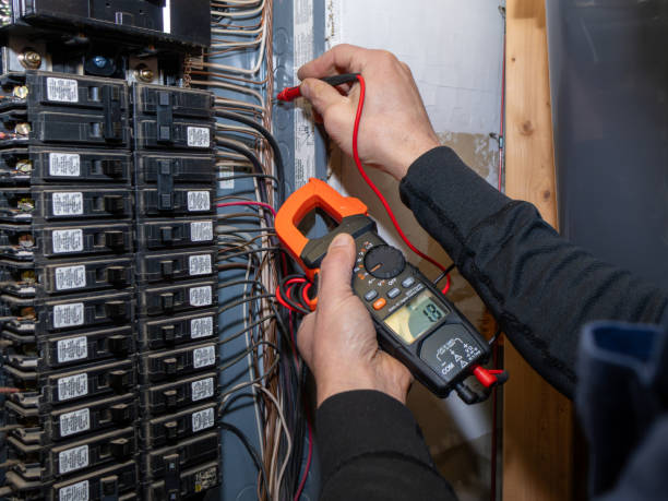 Best Residential Electrician Services  in Natalia, TX